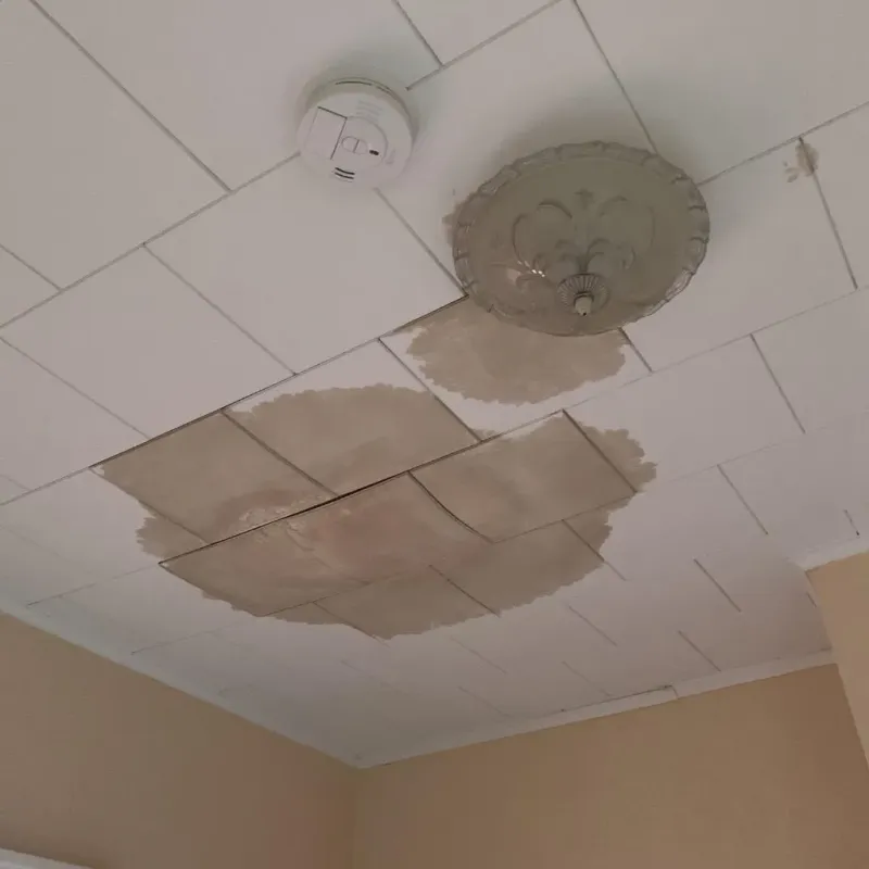 Ceiling Water Damage Repair in Kingston, MA