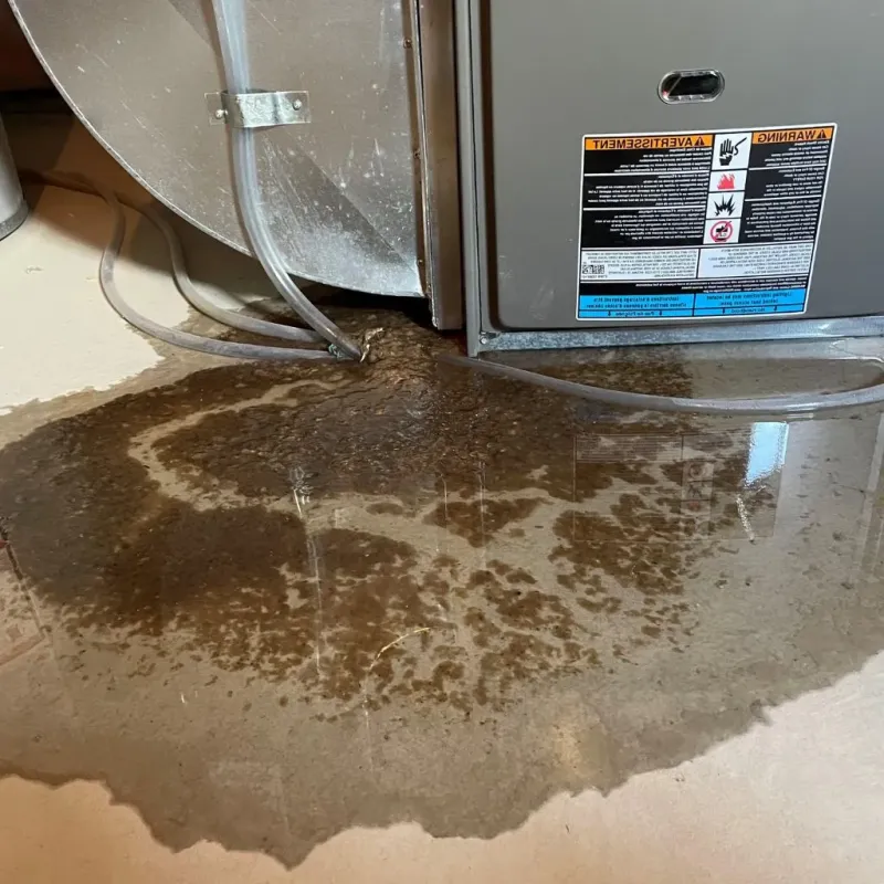 Pipe Burst and Leak Restoration in Kingston, MA